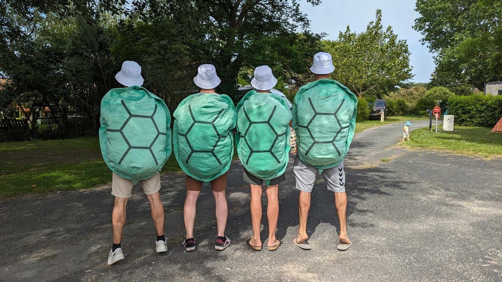 Carapace des Turbo Tortues