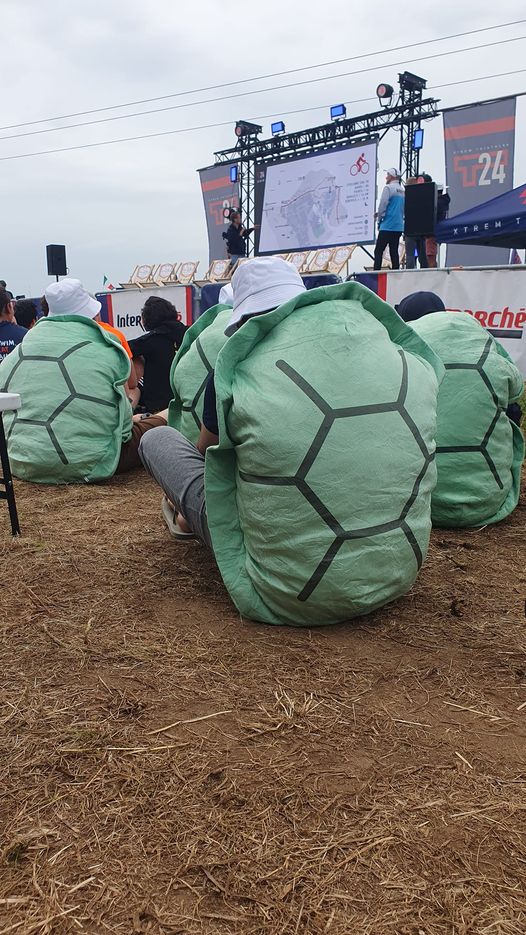 Carapace des Turbo Tortues