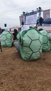 Carapace des Turbo Tortues