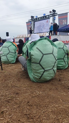 Carapace des Turbo Tortues